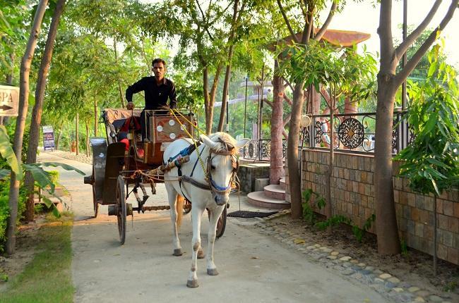 Kangs Nirvana Resorts And Spa Mahalpur Bagian luar foto